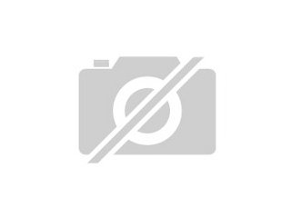 Suche modernes neues/renoviertes sehr ruhig gelegenes Haus